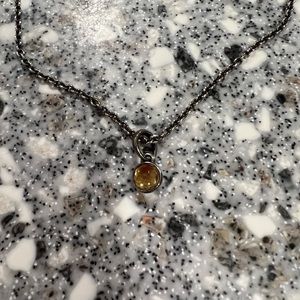 Pandora Charm Necklace